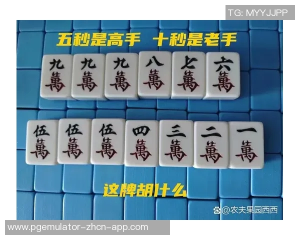 麻将里有了杠怎样算胡-麻将中杠的出现与胡牌的计算方式-麻将里有了杠怎样算胡