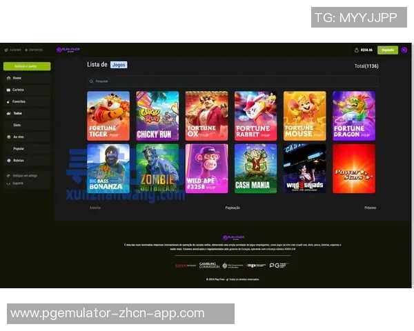 pg电子游戏模拟器链接-探索与体验,Pg电子游戏模拟器的链接奥秘-pg电子游戏模拟器链接